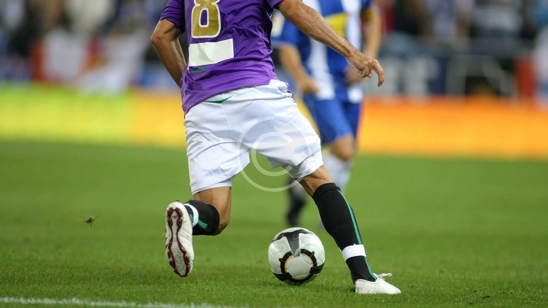 World Cup Expectations