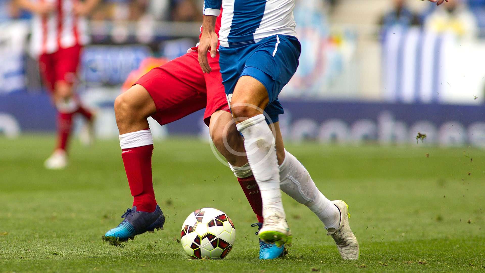 2018 League Report and Highlights